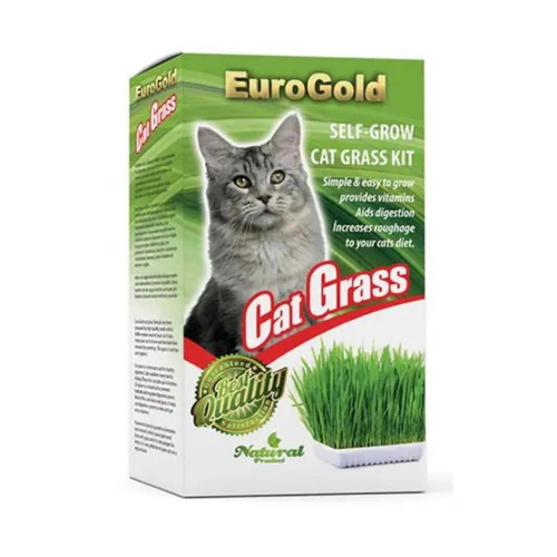 Cat Grass Sindirim ve Tüy Yumağı Destekleyen Kedi Çimi