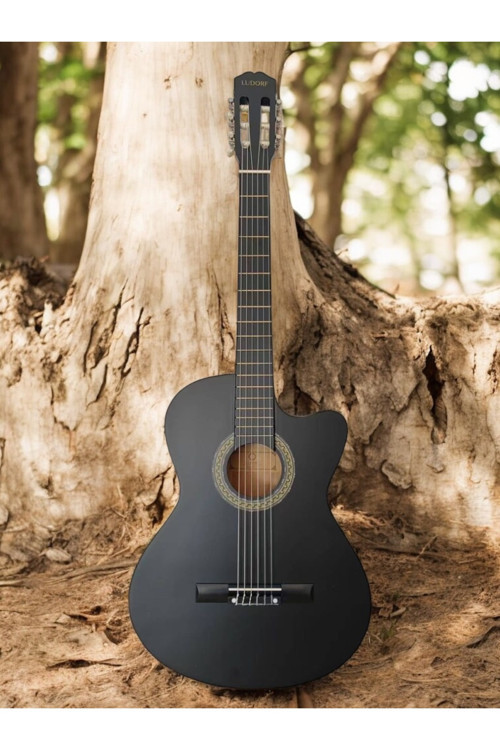 Ry1967 Profesyonel Seviye Klasik Gitar