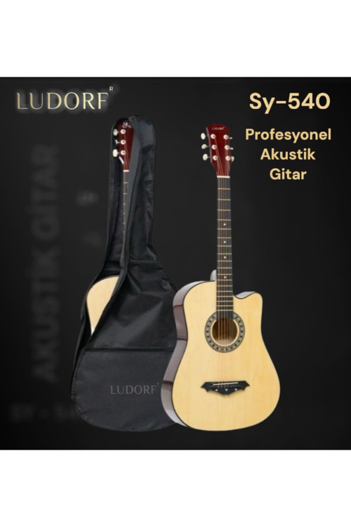 SY 540 Akustik Gitar Profesyonel Seviye