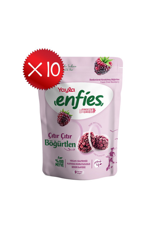 Enfies Freeze Dried Böğürtlen 15 g x 10 Adet