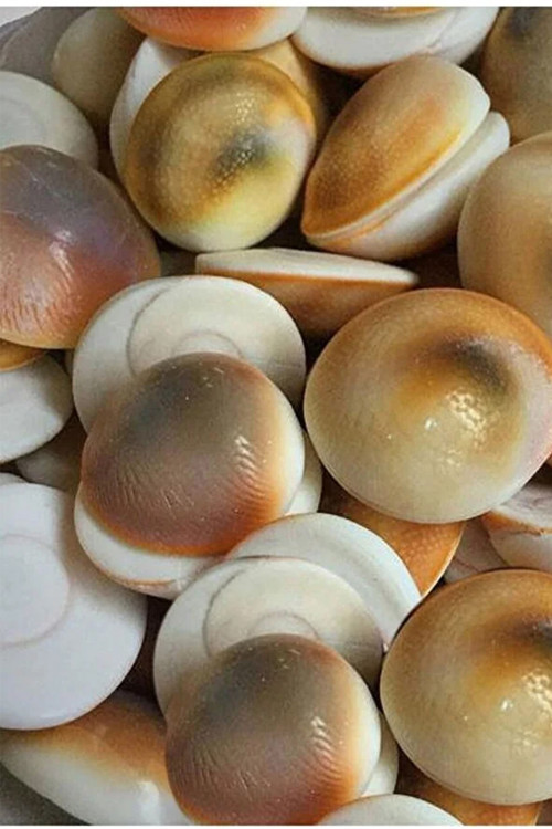 Sertifikalı Deliksiz 6 Adet Yılancık Taşı
