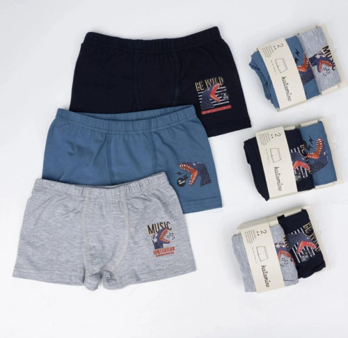 Winden 2li Erkek Boxer K128638 Karışık Renk