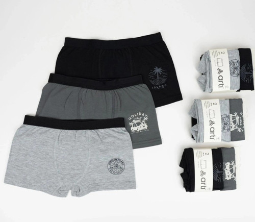 Island Erkek 2li Boxer Set K128997 Karışık Renk