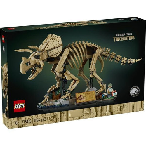 Dinozor Fosilleri: Triceratops 77985