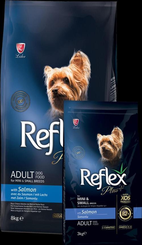 Plus 8 Kg Mini Ve Küçük Irk Yetişkin Köpek Maması Somonlu