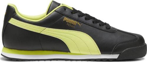 369571-26 Roma Basic