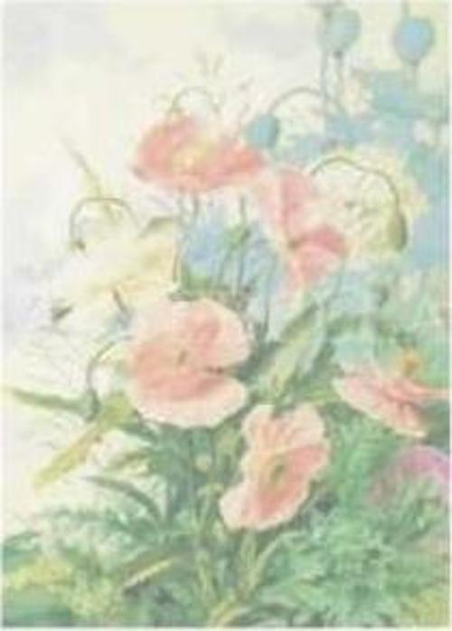 Kolay Transfer 1387k Opak 23x34cm