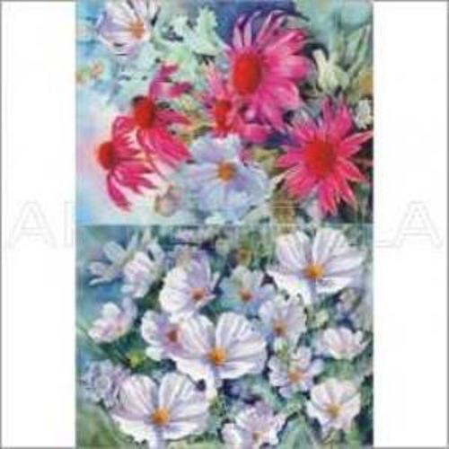 Kolay Transfer 1407v Transparan 23x34cm