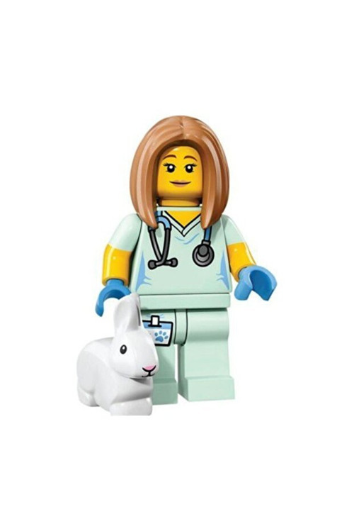 Minifigür - Seri 17 - 71018 - Veteriner