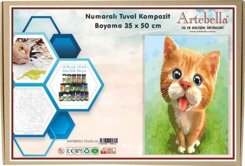 Sayılarla Boyama Tuval Seti - Kedi (35x50 cm)
