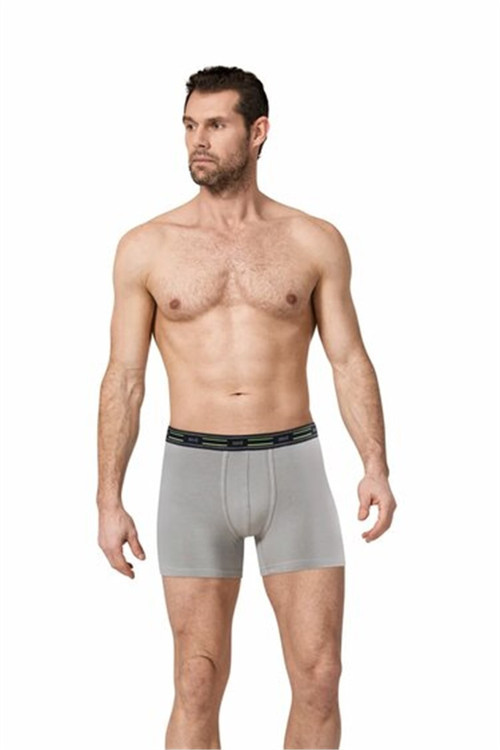 Erkek Gri Boxer Modal Esnek Kumaş 193