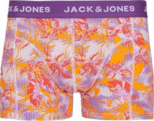 12253578 Jacdamian Trunk Sn Lila