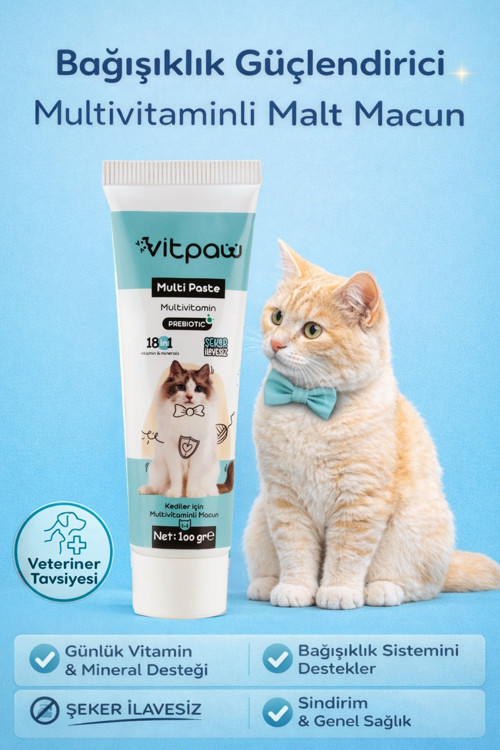 Multi Paste 100 Gr.(Kediler Için Bağışıklık Güclendirici Multivitamin Macun) Kedi Vitamini Malt