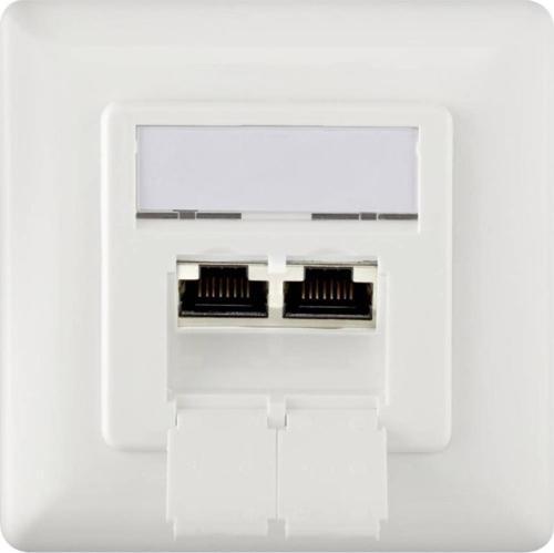 CAT 6 Wall Outlet, Shielded, 2X RJ45