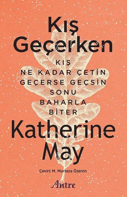 Antre Kitap Kış Geçerken