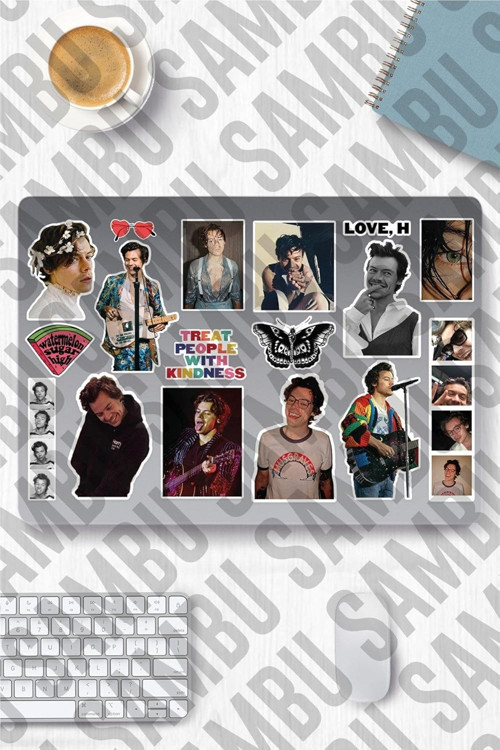 Harry Styles Temalı Sticker Etiket Seti - Laptop Telefon