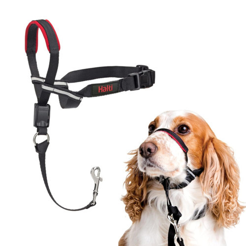 Optifit Baş Tasması - Dolgulu Burun Bandı, Ayarlanabilir Yansıtıcı, Orta Boy için Profesyonel Çekme Önleyici Yardımcısı (M Boy)