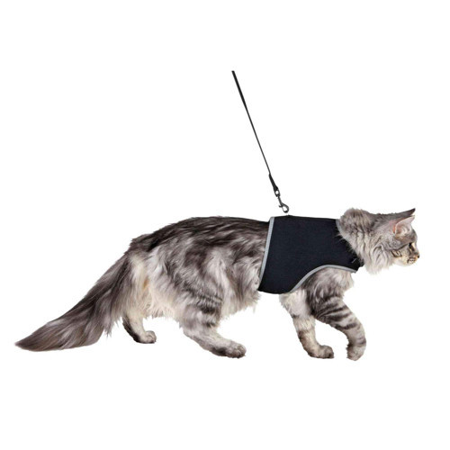 Göğüs Seti, XXl, 36-54cm, 120cm