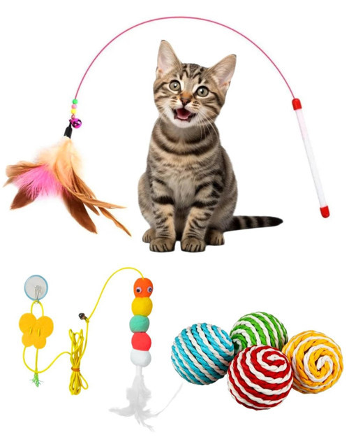 İnteraktif Oyuncağı Seti, Peluş , oltası, avlanma Geliştirici, sarmalı Topu, Zeka Artırıcı Seti (3 Set)