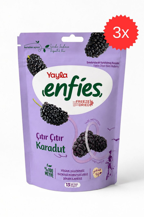 Freeze Dried Çıtır Çıtır Karadut 15 gr x 3 Adet