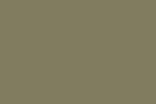 Leaf 2.72 x 11 Metre Fon Kağıdı