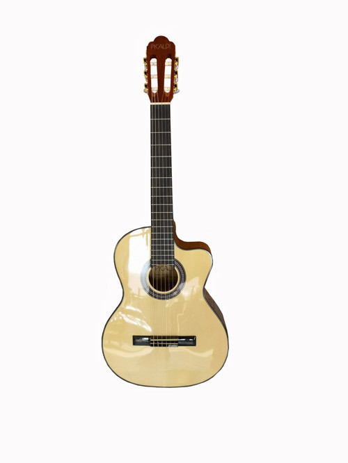 ACG21CE Elektro Klasik Gitar (4/4) | Cutaway Kesik Kasa ile Üst Perdelere Kolay Erişim Dahili Preamp ile Sahne B