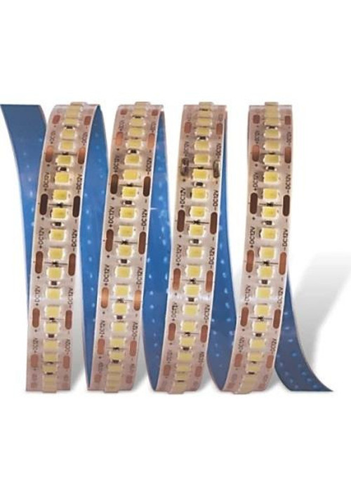 CT4539G 24V 240ÇİPLİ iŞERİT LED İÇ MEKAN 3200K