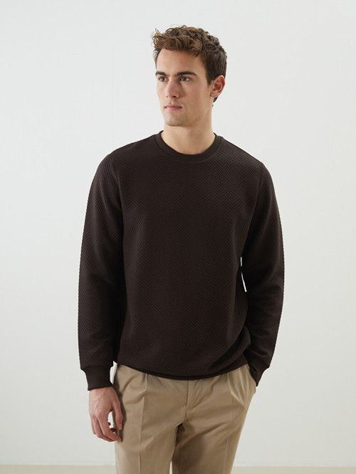 LCW Vision Kahverengi Bisiklet Yaka Uzun Kollu Erkek Sweatshirt