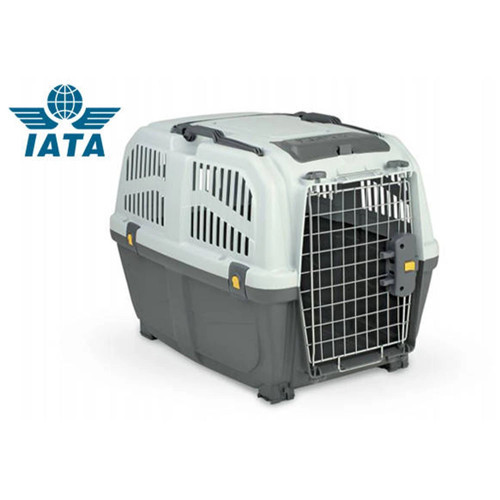7 Iata Tekerleksiz Plastik Kedi ve Köpek Taşıma Kafesi