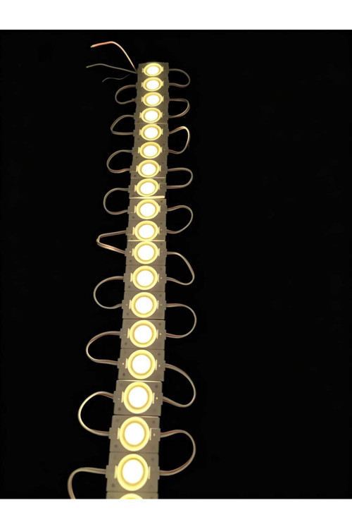 Ookayled COB 4530 1 MODÜL LED 250LM GÜNIŞIĞI