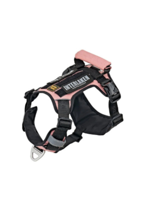 Köpek HARNESS Kosum Takimi Hafif Küçük ve Büyük Köpekler Uzanma Önleyici Gögüs Tasmasi SIYAH&PEMBE XL BEDEN