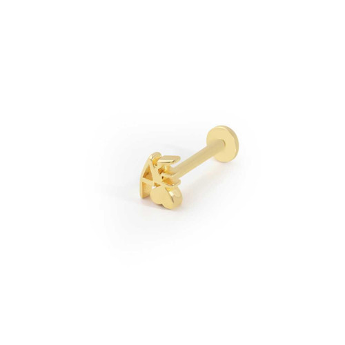 Özel Tasarım Tragus Piercing
