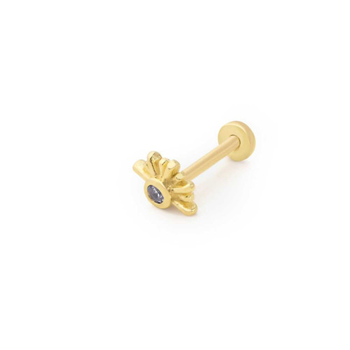 Kirpik Model Tragus Piercing