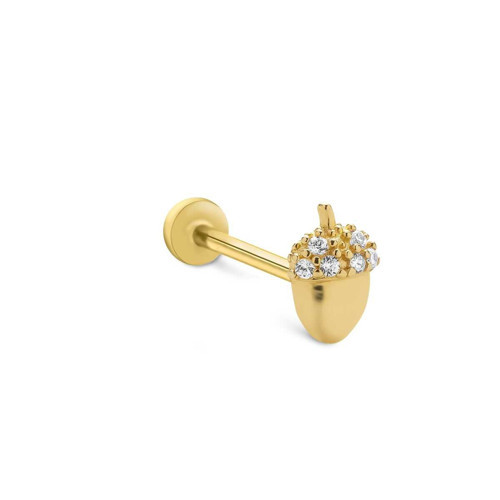 Palamut Tragus
