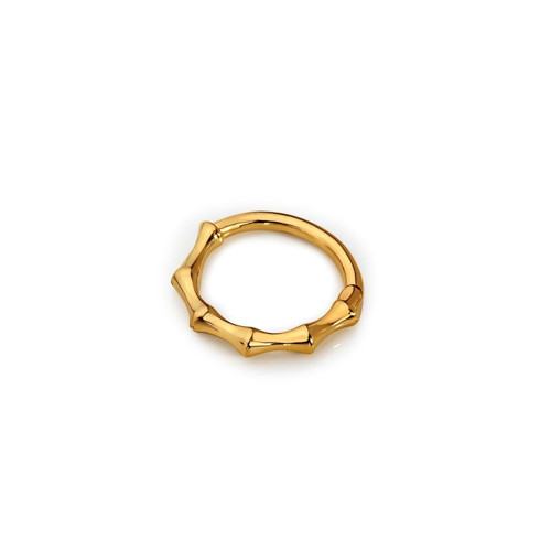 Kemik Helix Piercing