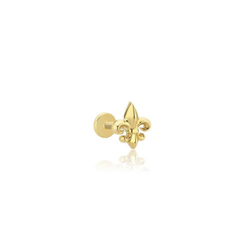 Zambak Tragus