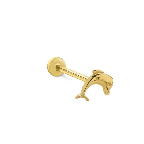 Yunus Tragus Piercing