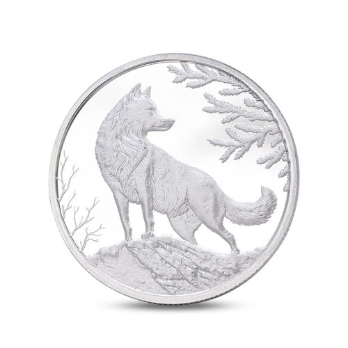 Kurt Gümüş Sikke Coin