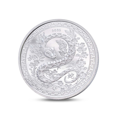 Yılan Figürlü Gümüş Sikke Coin