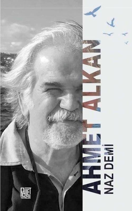 Palet Yayınları Naz Demi
