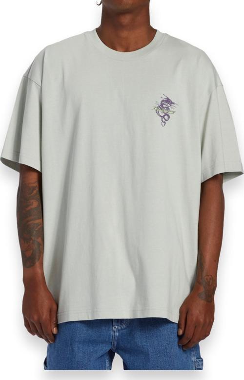 Abyzt02312 Enter The Drago Tees Gri Erkek T-Shirt