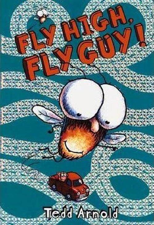 Fly High Fly Guy!