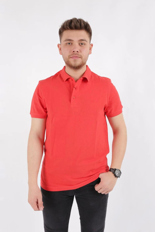 ERKEK 4613 POLO PİKE T-SHIRT 23YCEEO04613