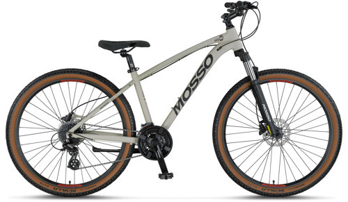 Raceline 29 Jant 20K H.Disk 24 Vites Dağ Bisikleti Matt Sandy Grey