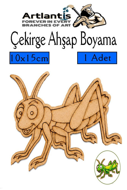 Ahşap Boyama Böcekler 1 Adet 10x15cm Boyama Böcek Figürleri Etkinlik Çocuk Gelişim Motor Beceri Kreş Anasınıfı