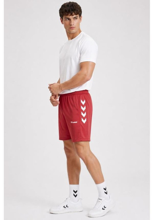 931145-9829 Falconzo Erkek Spor Şort