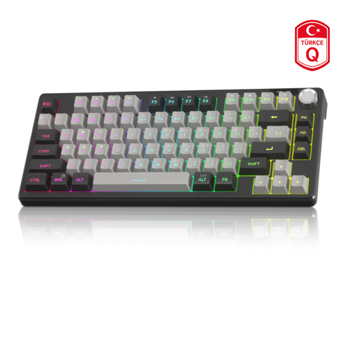 TS75 %75 Siyah 79 Tuş RGB Kablolu Membran Gaming Klavye