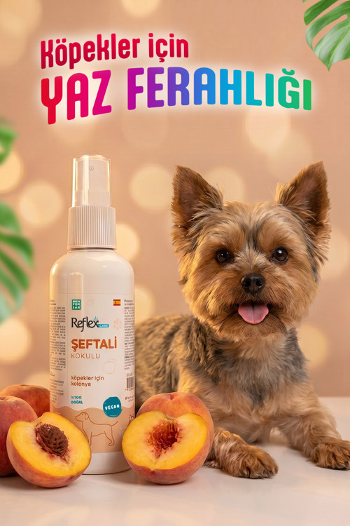 Care Şeftali Kokulu Köpek Kolonyası 125 ml