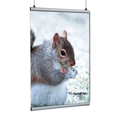 Poster Tutucu Clamp 100cm 2li Paket