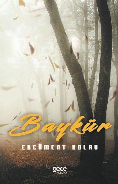 Baykür